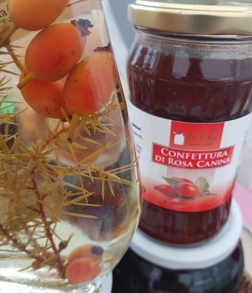 Rosa canina - confettura o tisana Vit C in purezza